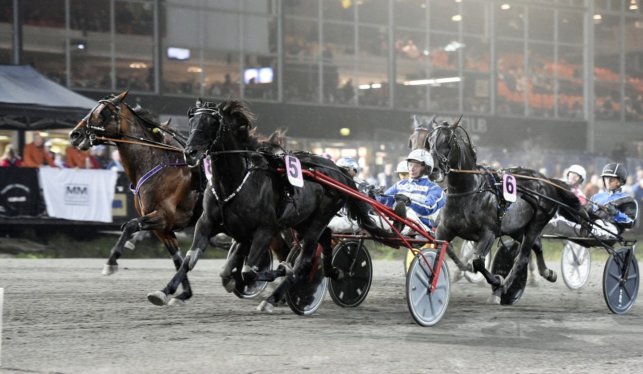 Ubertino Grif vid en tidigare seger på Bergsåker. Foto: Christer Norin, ALN