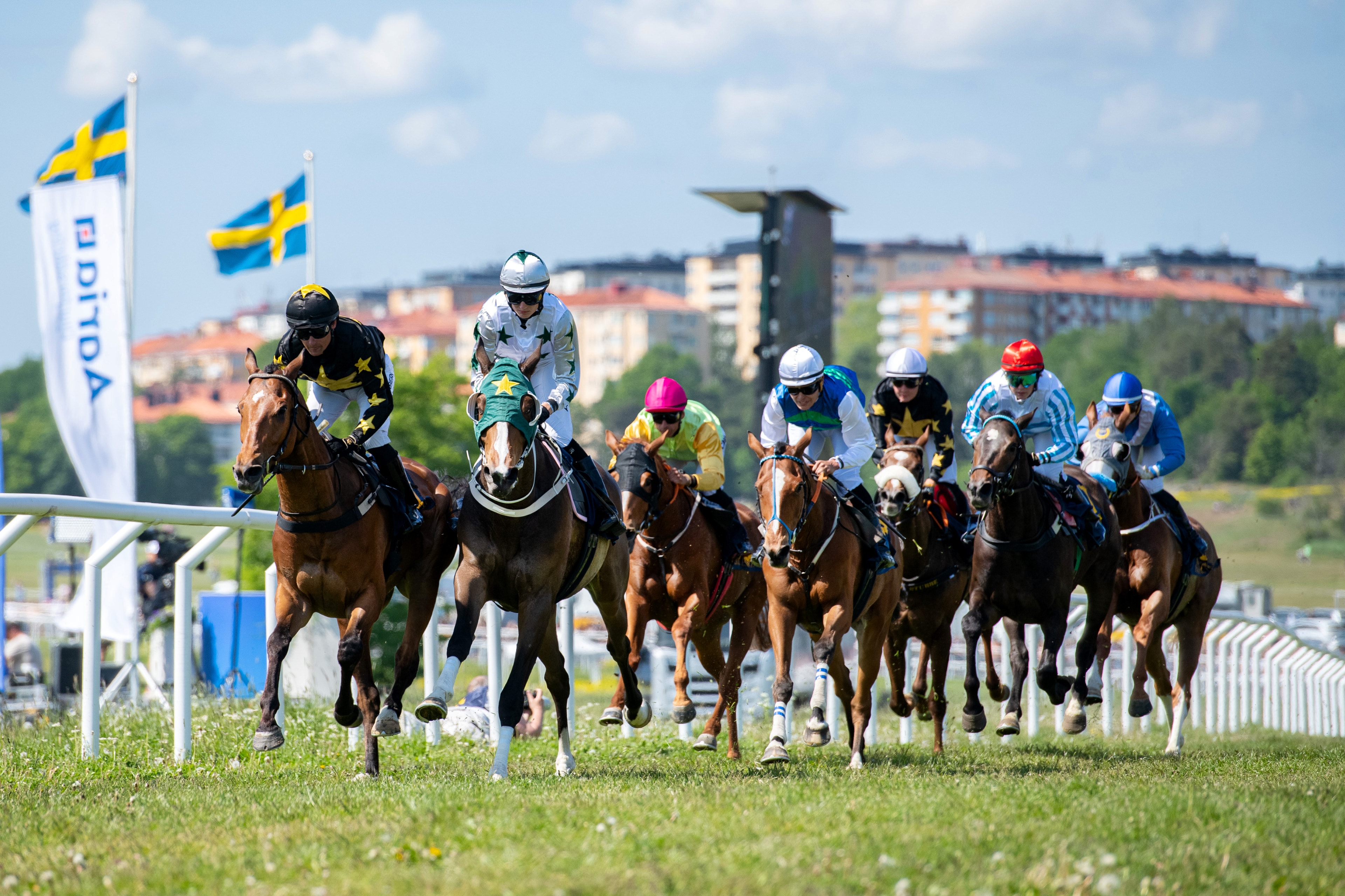 Travet försvinner från Nationaldagsgaloppen