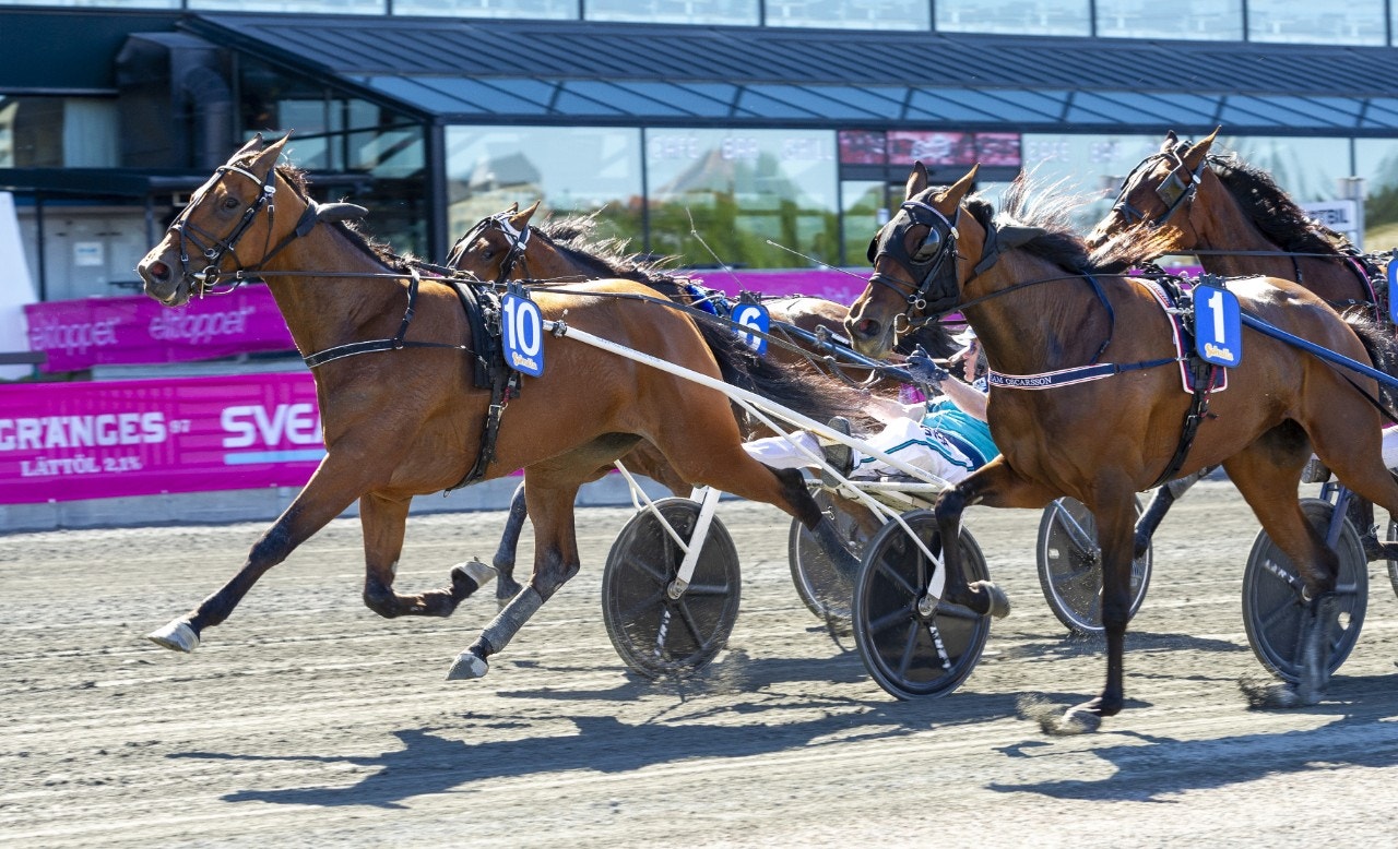 Golden Tricks följde upp segern i Fyraåringseliten med att vara snabbaste vinnaren i Stosprinterns uttagningar. Foto: Tommy Andersson, ALN