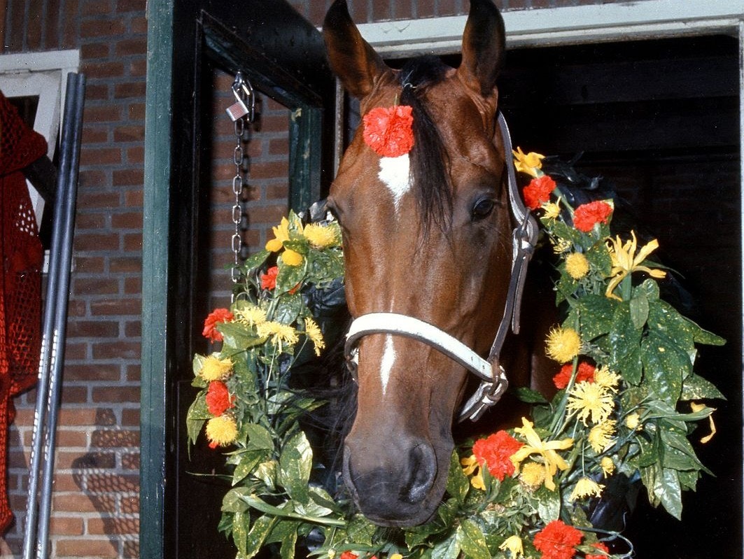 Ego Boy vann Elitloppet 1973 efter en magisk duell - och är för alltid förevigad i loppets historia. Foto: Kanal 75, Wikimedia Commons
