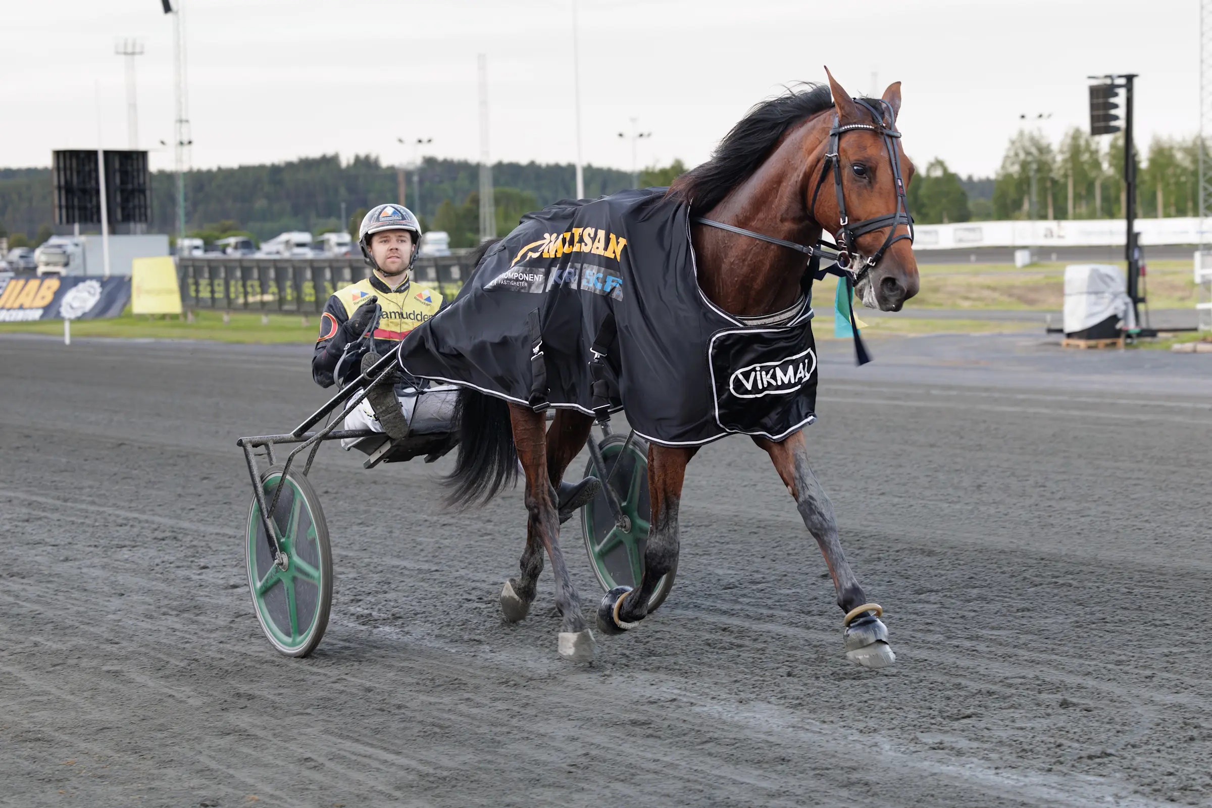 En brunhäst med kuskvagn på en travbana. Kusken sitter i vagnen och håller tyglar. Hästen är utrustad med travutrustning och en mörkblå skalär. Travbanan är omgiven av stängsel och träd i bakgrunden.