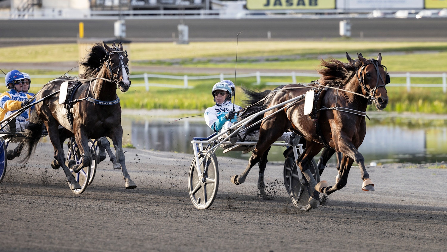 Foto: Mikael Wikner/TR Bild