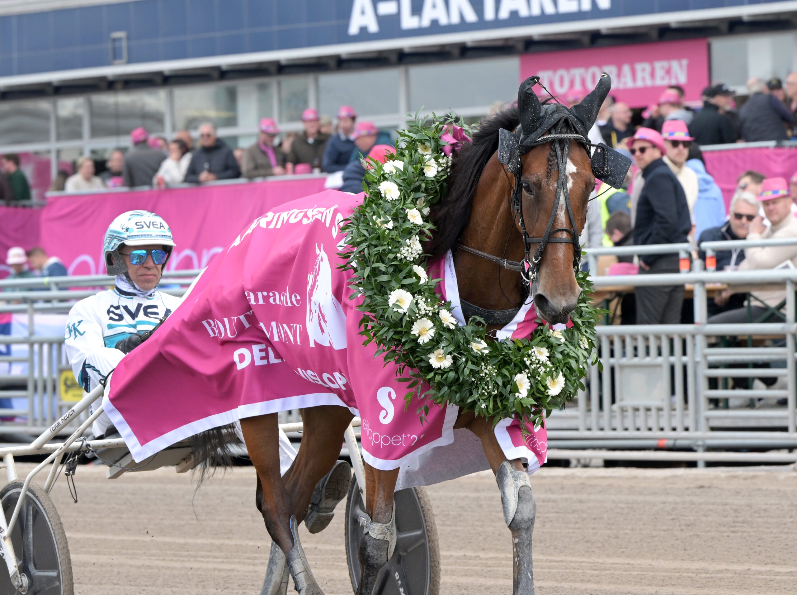 Foto: Lars Jakobsson, TR Bild