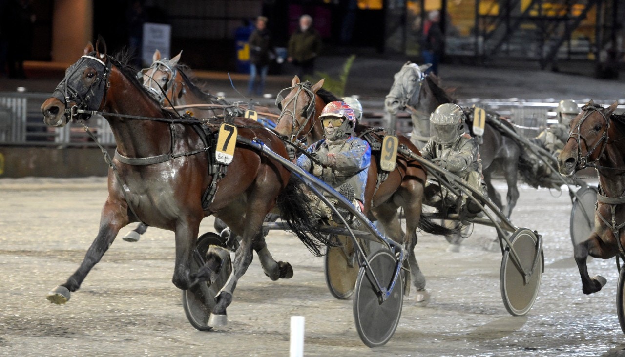 Mr Can Trix rejäl vinnare i Kriterium Consolation. Foto: Martin Langels, ALN