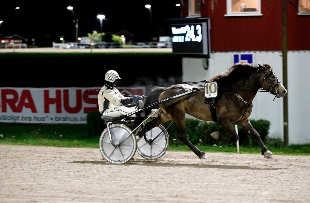 Isbjörn slog 17-årigt svenskt rekord