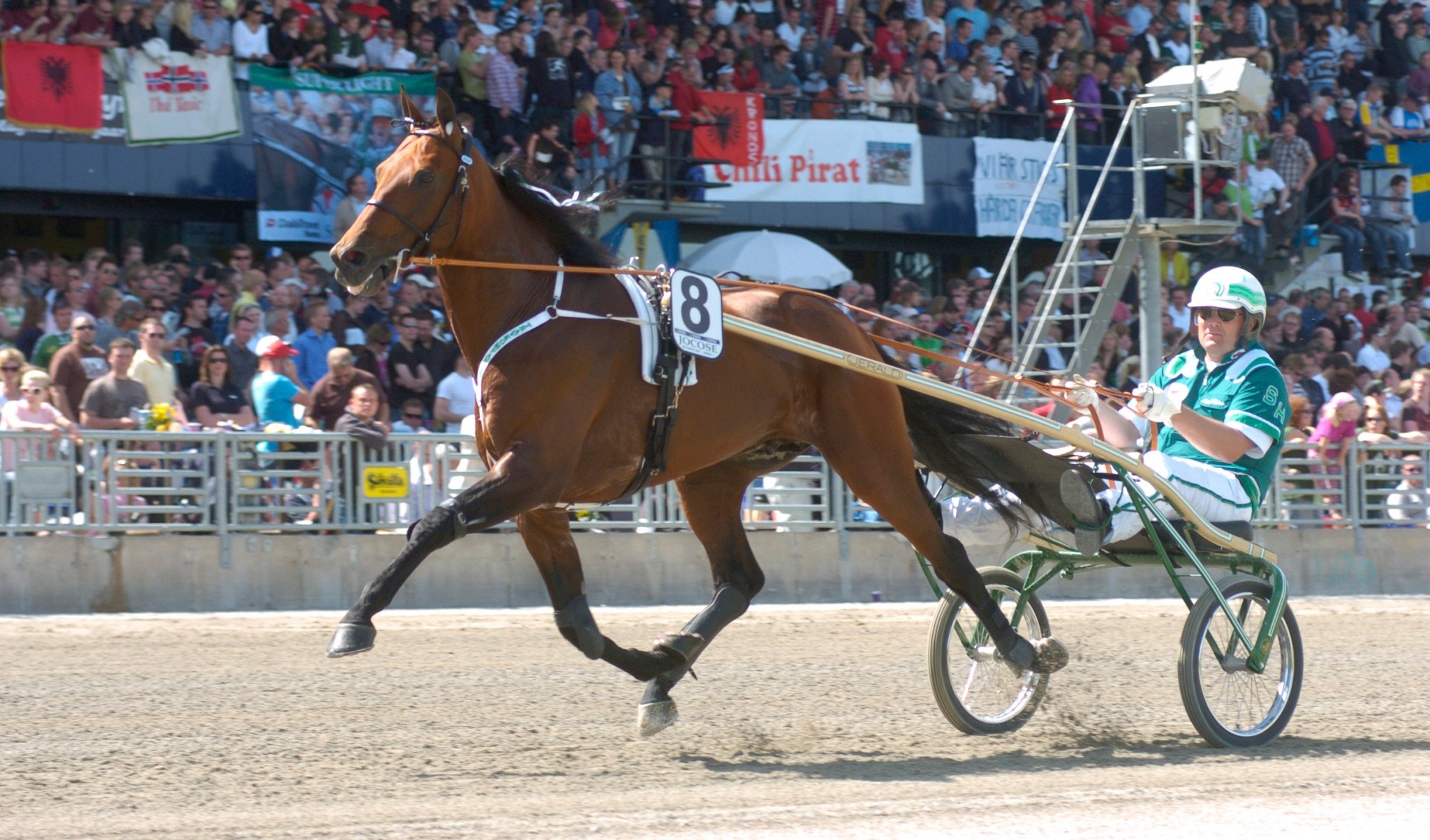 Jocose då det begav sig på tävlingsbanan. Foto: Mats Hansson, ALN