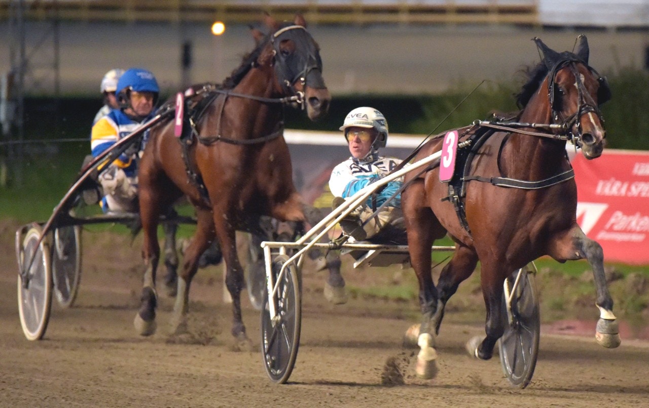 Fyraårige jänkaren Maxus fick in en fullträff på Örebrotravet. Foto: Martin Langels, ALN
