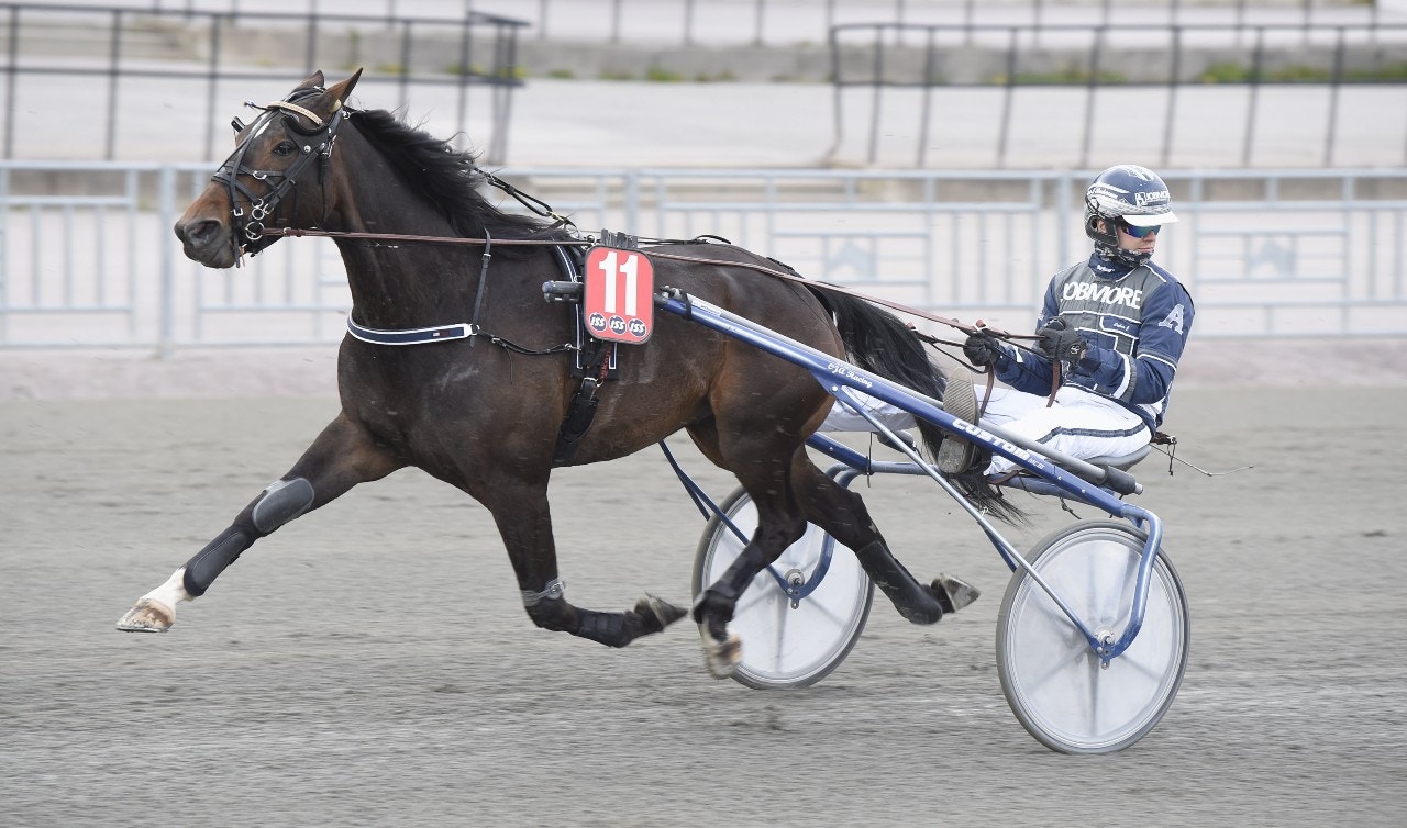 Vi öppnar eftermiddagen med Timetomakeitrite. Foto: Christer Norin, ALN