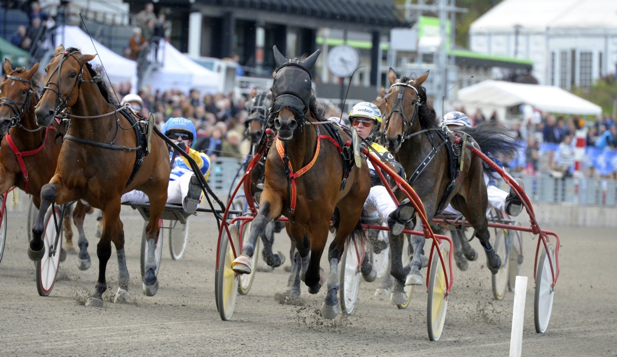 Donato Hanover har kommit till Sverige