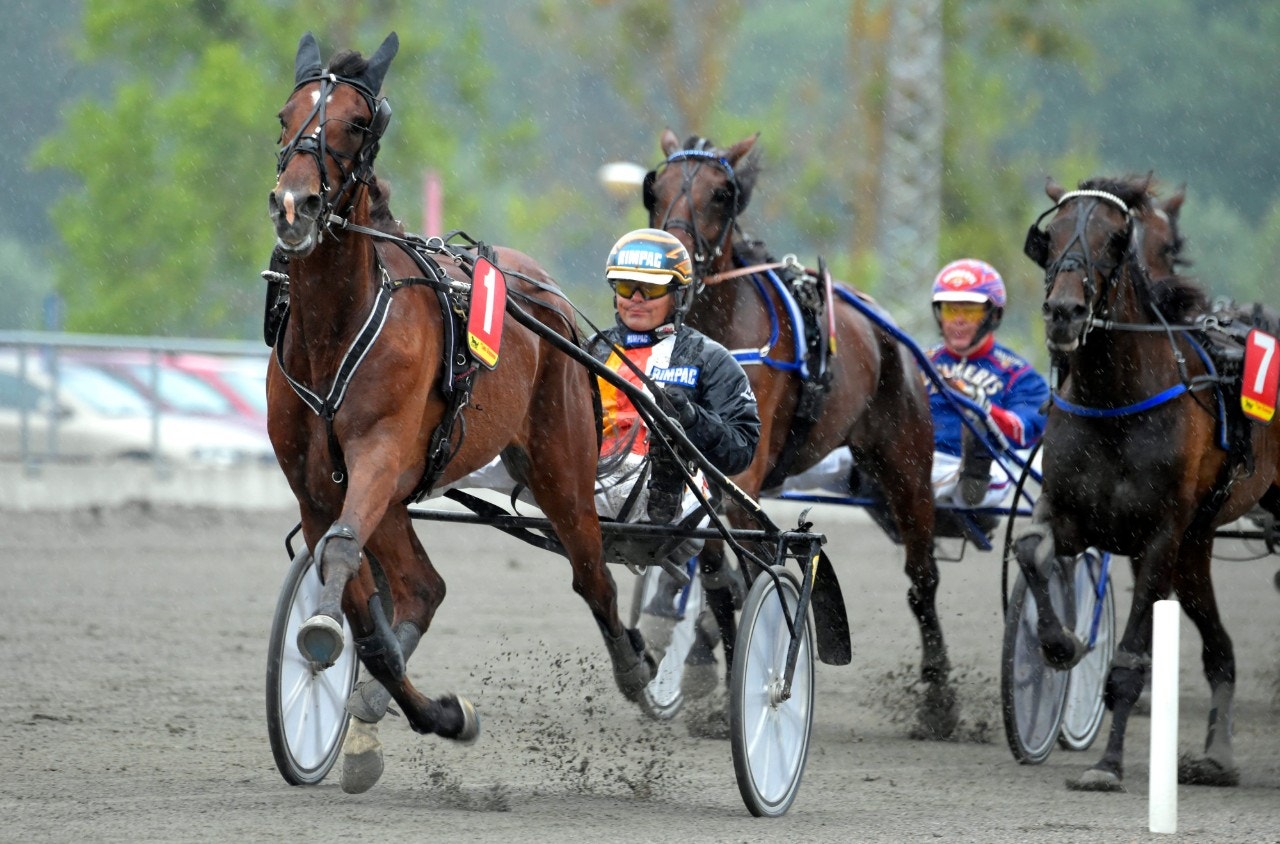 Bergsåker/Solvalla 29 januari: Från ledningen lär de få leta!
