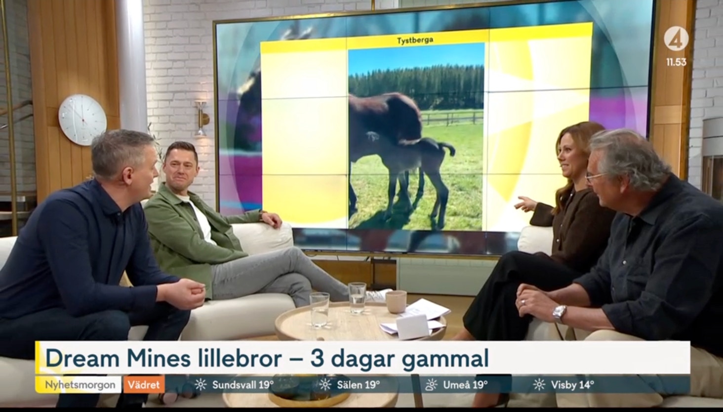 Titta – så överraskas Westholm i Nyhetsmorgon