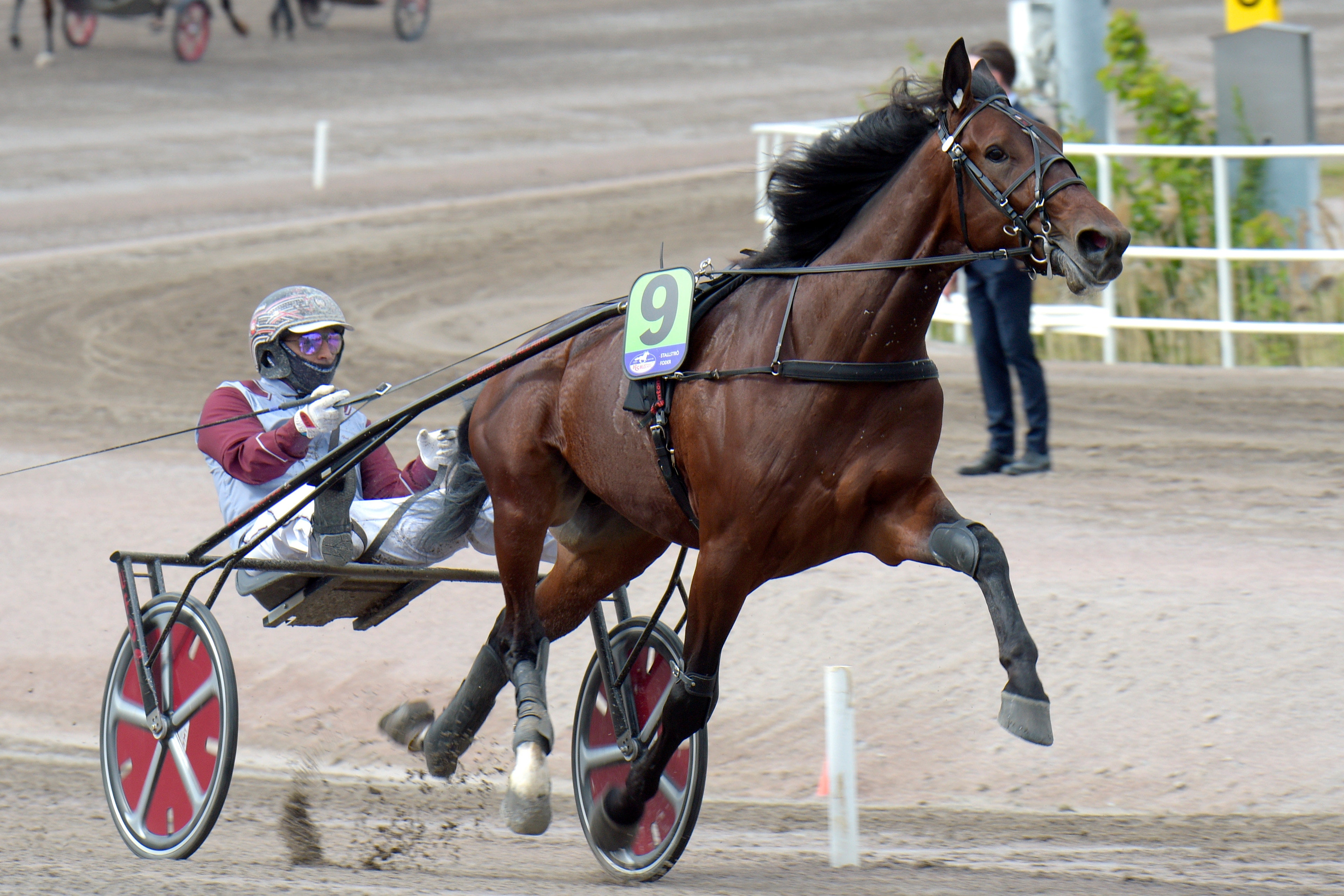 Snackmatchen inställd – så här startar stjärnorna