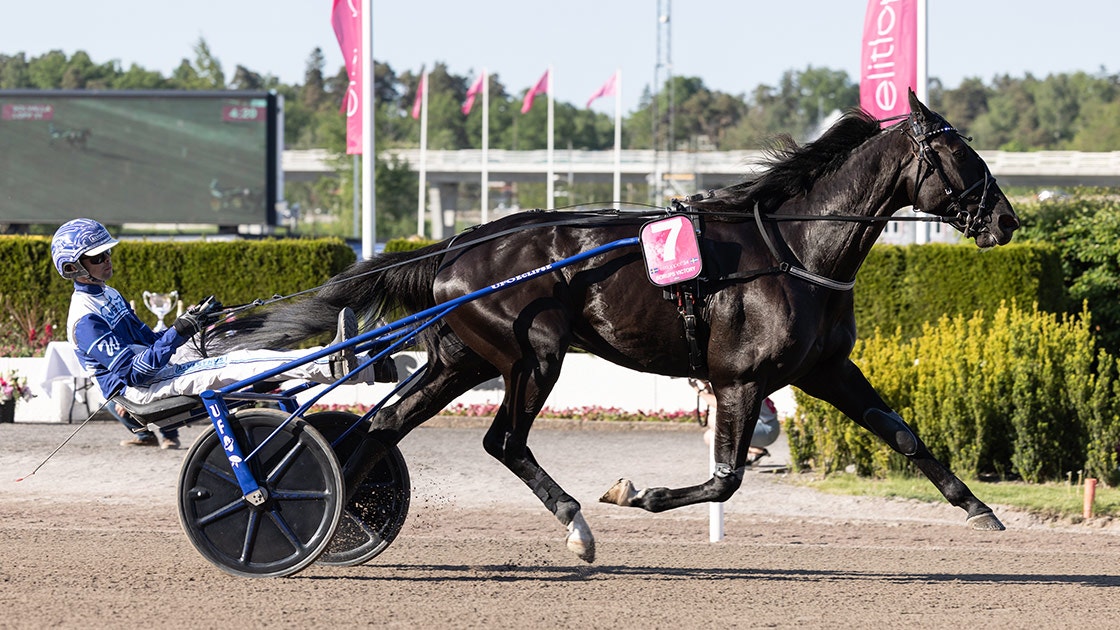 Foto: Lena Emmoth, TR Bild