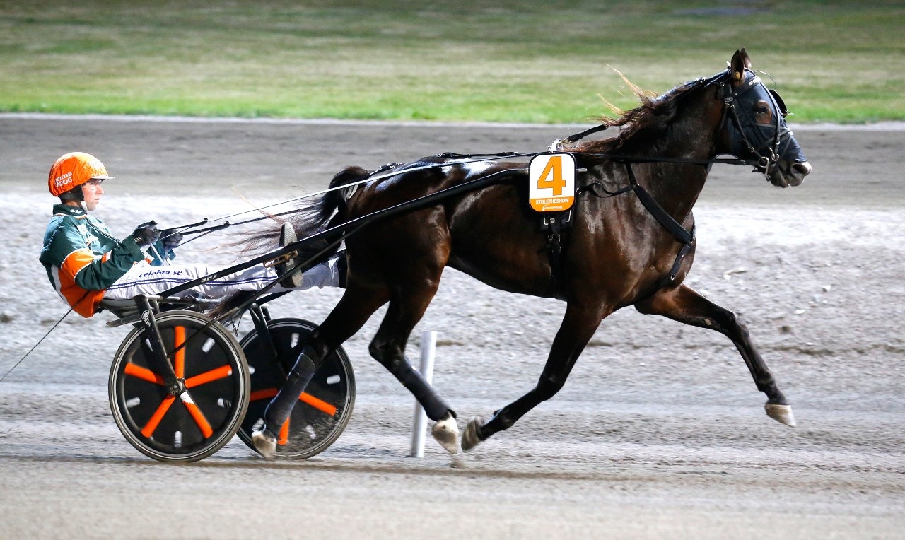 Stoletheshow är vår vinnare i eftermiddagens höjdpunkt. Foto: Hanold, ALN
