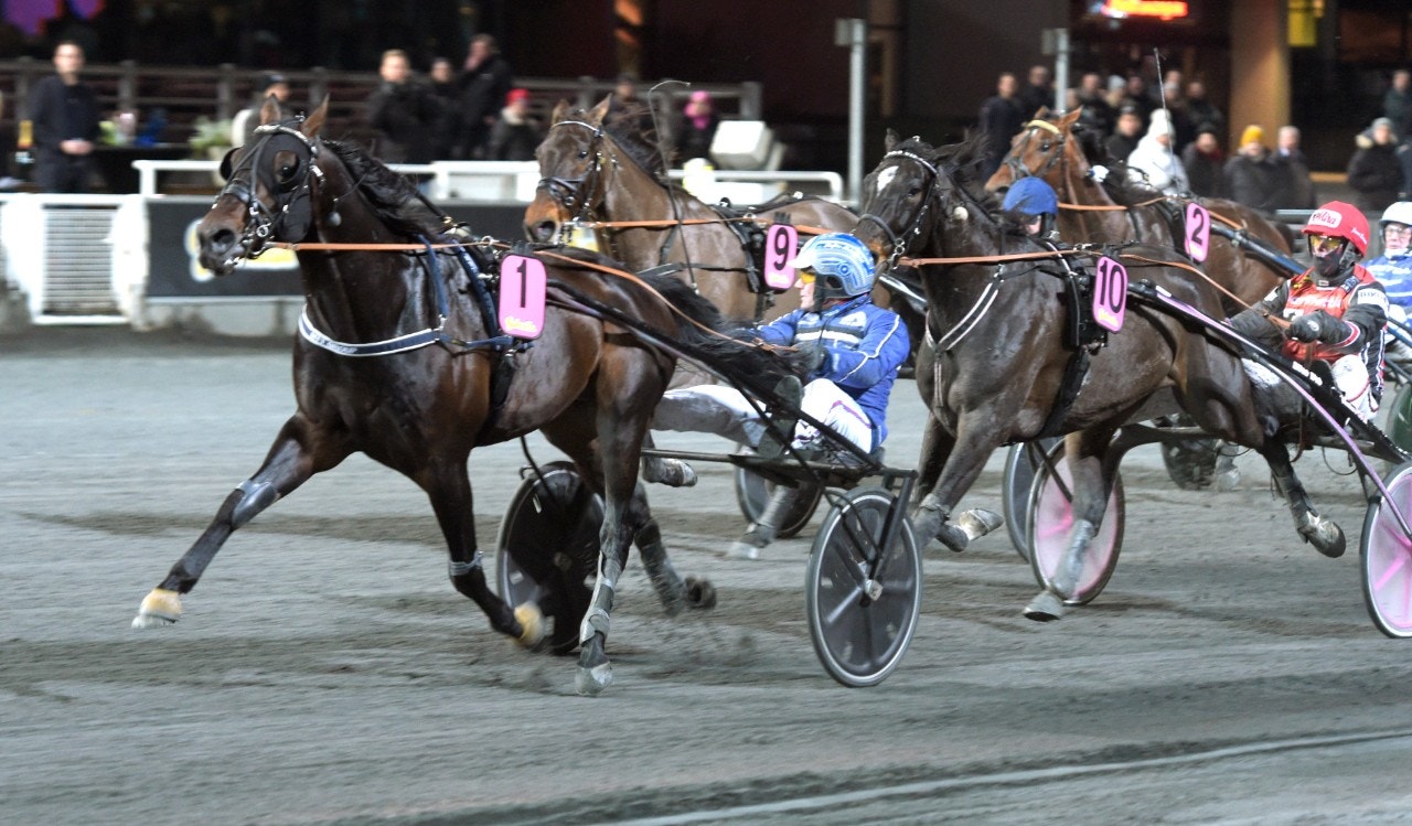 Stepping Spaceboy tog en ny övertygande seger - och spårade hem också Gulddivisionens final. Foto: Leif Norberg, ALN