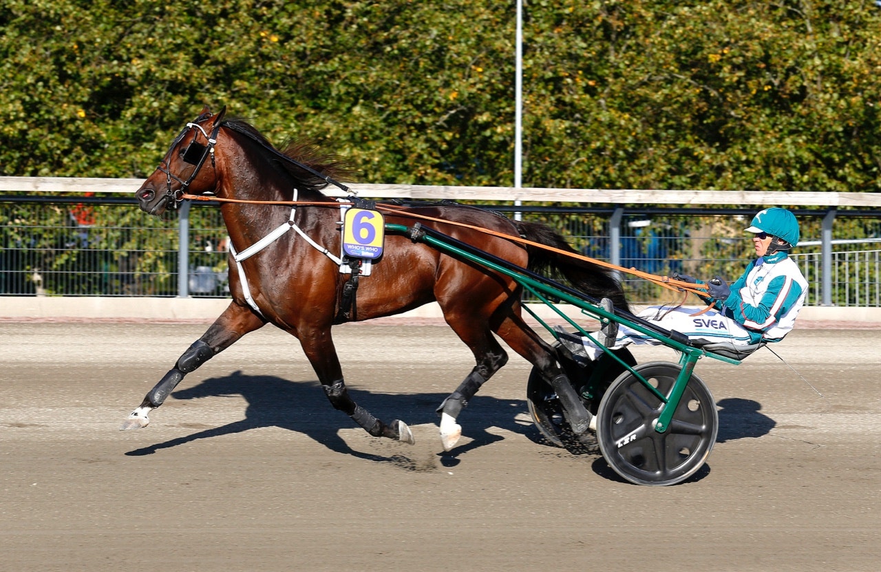 Svårt läge för Who's Who