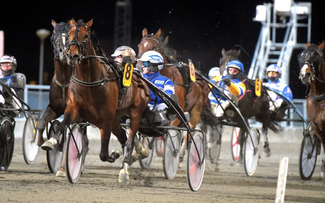 Coin Perdu övertygade då han vann från dödens i Eskilstuna. Foto: Martin Langels, ALN