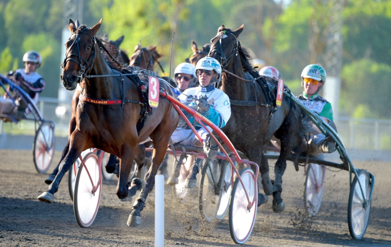 Solvalla 17 juni: Toppsport och jag spelar blivande stjärna!