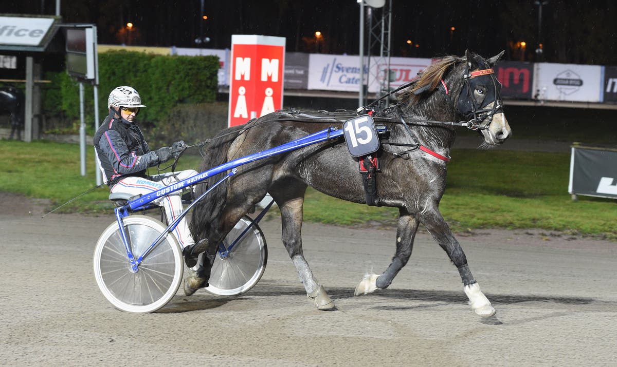 Hulte Alva Ulf Ohlsson