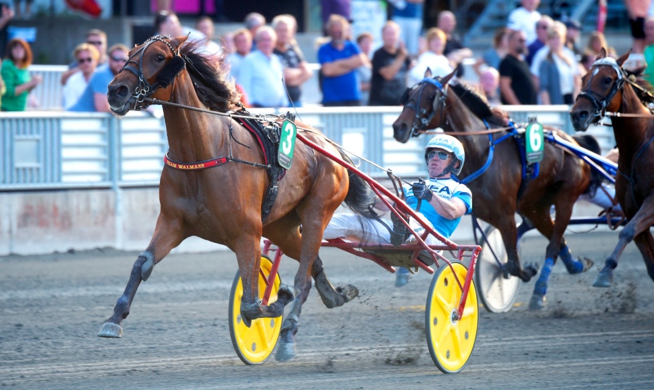 Odessa Celeber är vårt spel i Diamantstoet. Foto: Martin Langels, ALN