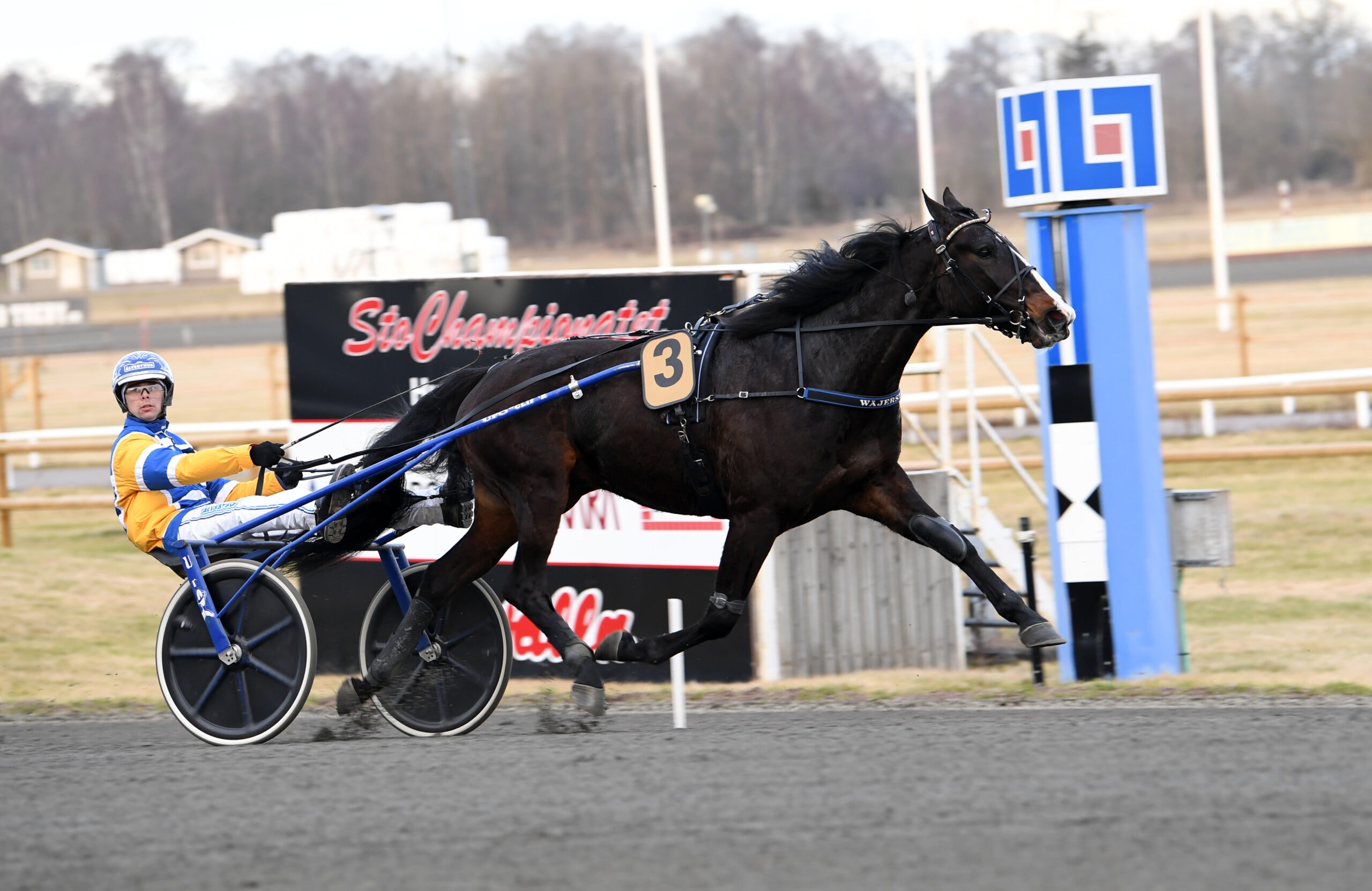 Foto: Malin Albinsson/TR Bild