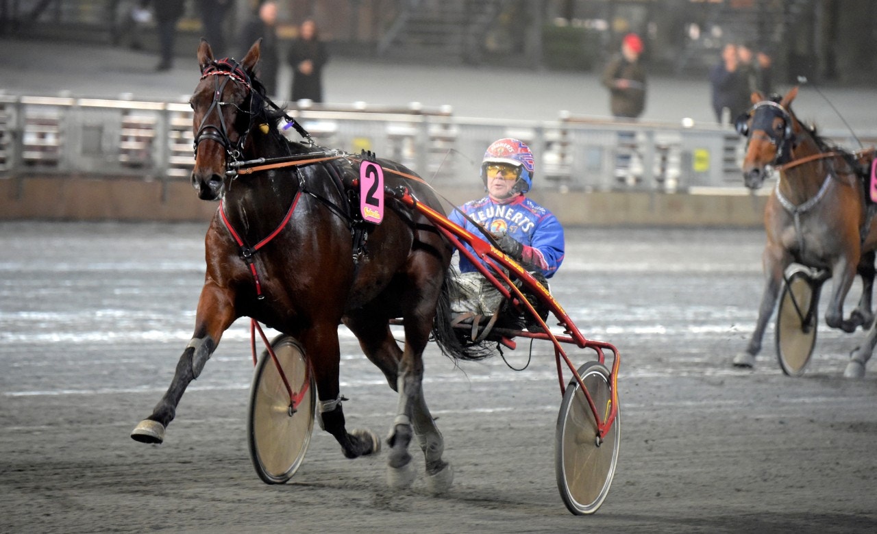 Vi tror Dom Perignon tar hem Silverdivisionen. Foto: Martin Langels, ALN
