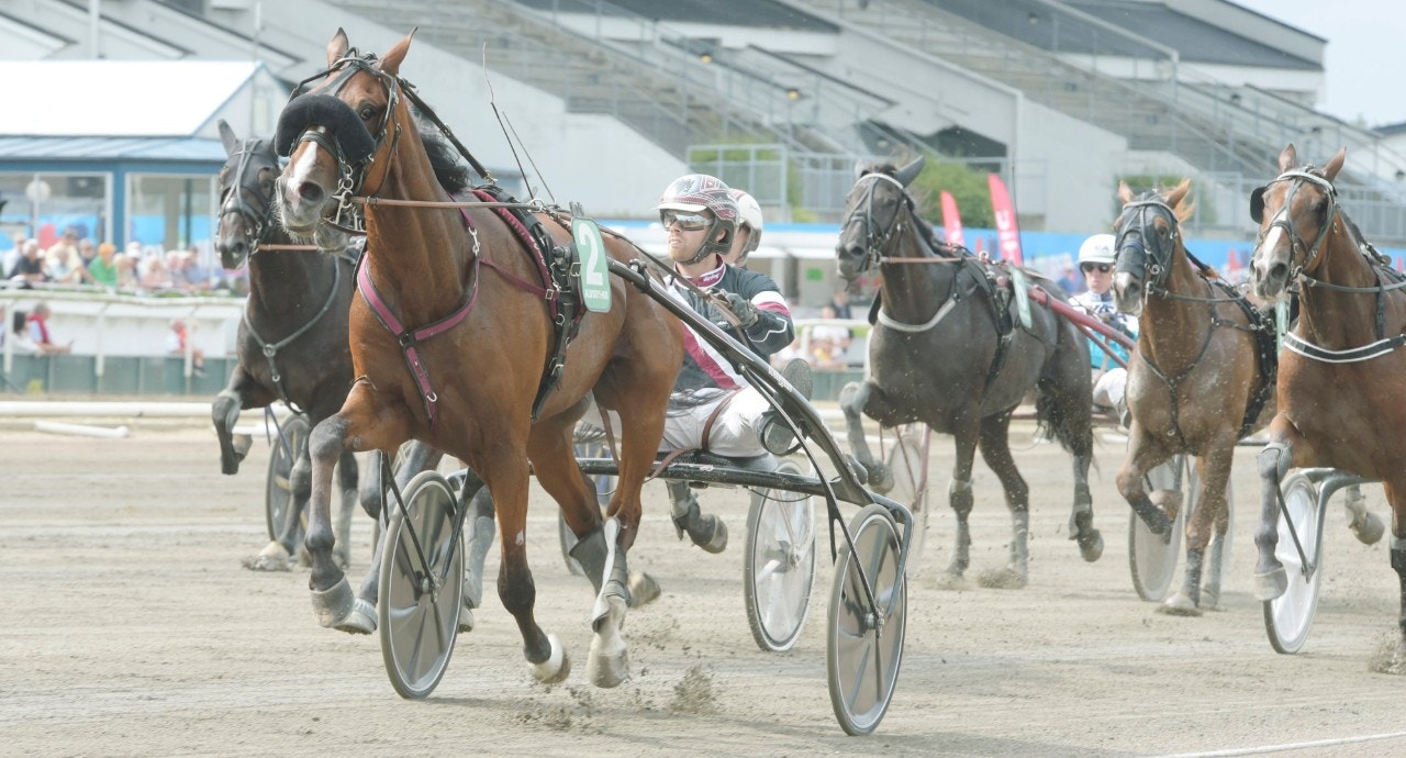 Solvalla/Åby 8 januari: Vi spelar Borin T.N!