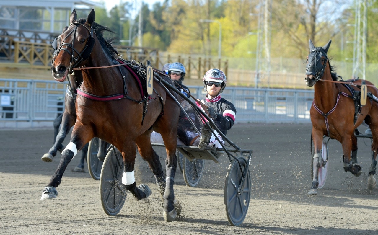 Tae Kwon Deo försvann ifrån till seger på 1.09,8 - och är klar för Elitloppet. Foto: Martin Langels, ALN