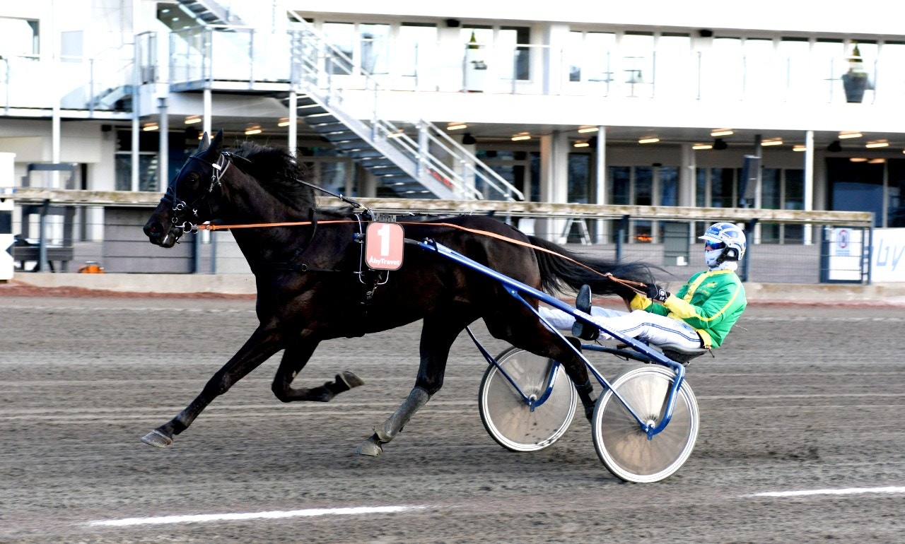 Bergsåker/Solvalla 6 maj: Lycka till, de som ska slå min vinnare!