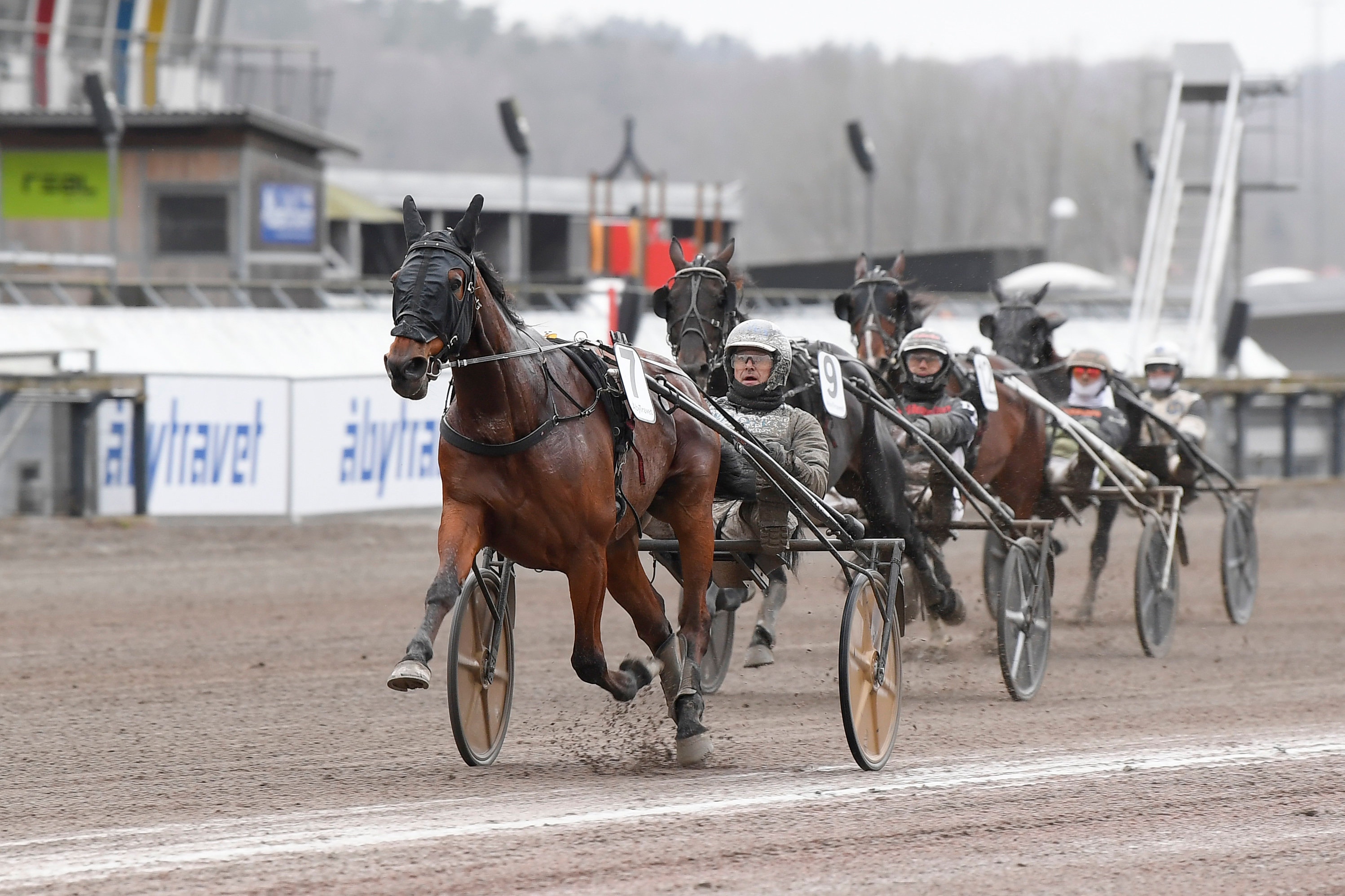 Travhästar med kuskar i sulkyvagnar under ett lopp på travbana. Flera hästar och kuskar i svart utrustning tävlar på sandbanan med läktare och sponsorskyltar i bakgrunden.