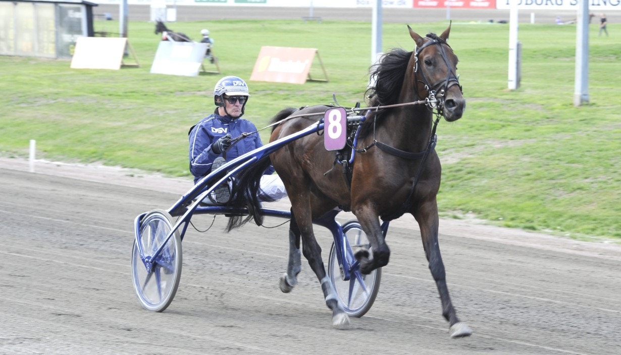 Dumbo, körd och tränad av Gordon Dahl, tog överraskande hem Danskt Travderby. Foto: ALN