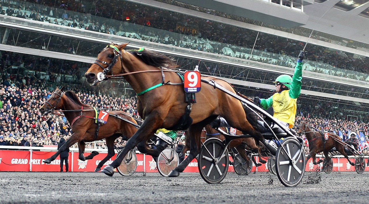 Läget inför Prix d'Amérique