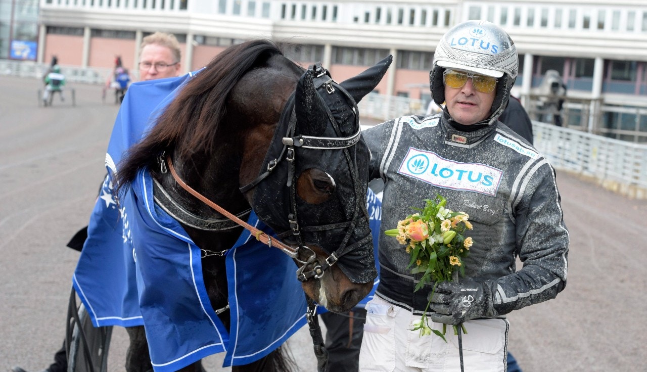Power är anmäld till lördagens Prix de Croix. Foto: Leif Norberg, ALN
