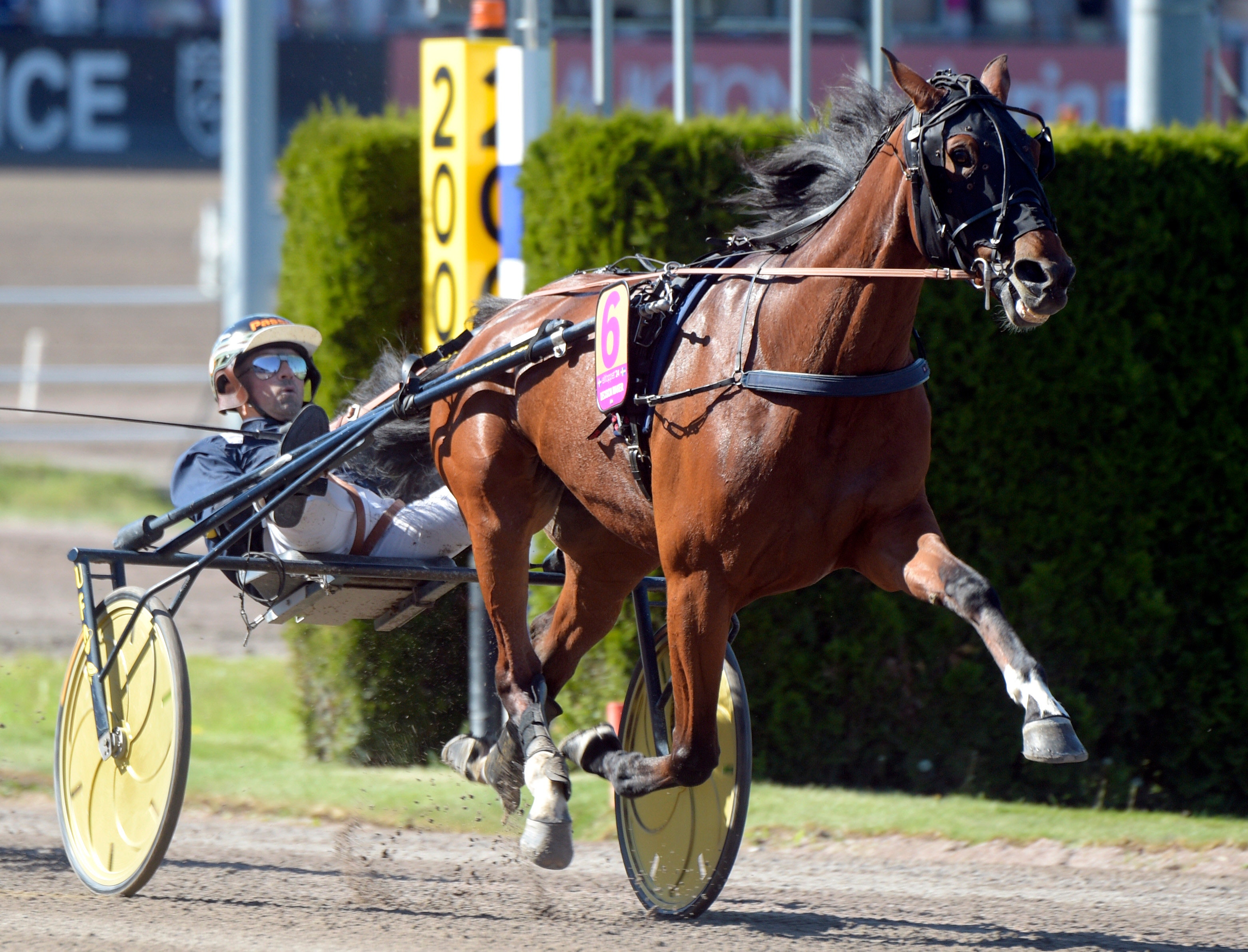 Elitloppshästen lägger av – "en av de bästa jag haft”