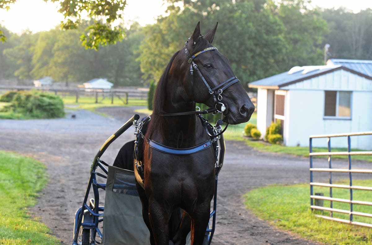 Maryland adam ström