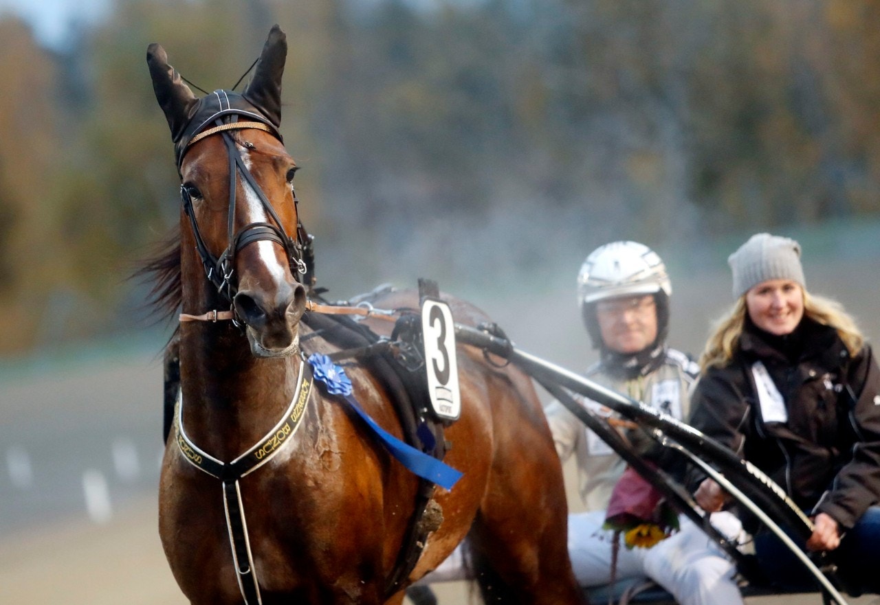 Fossens Bonus betvingade Lionel och Ferrari B.R. på Momarken. Foto: ALN