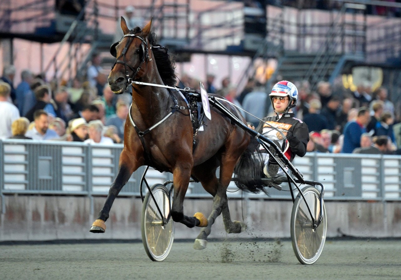 Kvintett klara för S:t Michel-Ajo