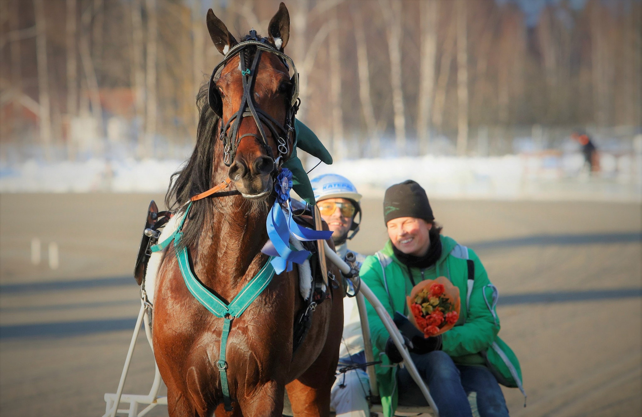 Handsome Brad i guldjakt på hemmaplan