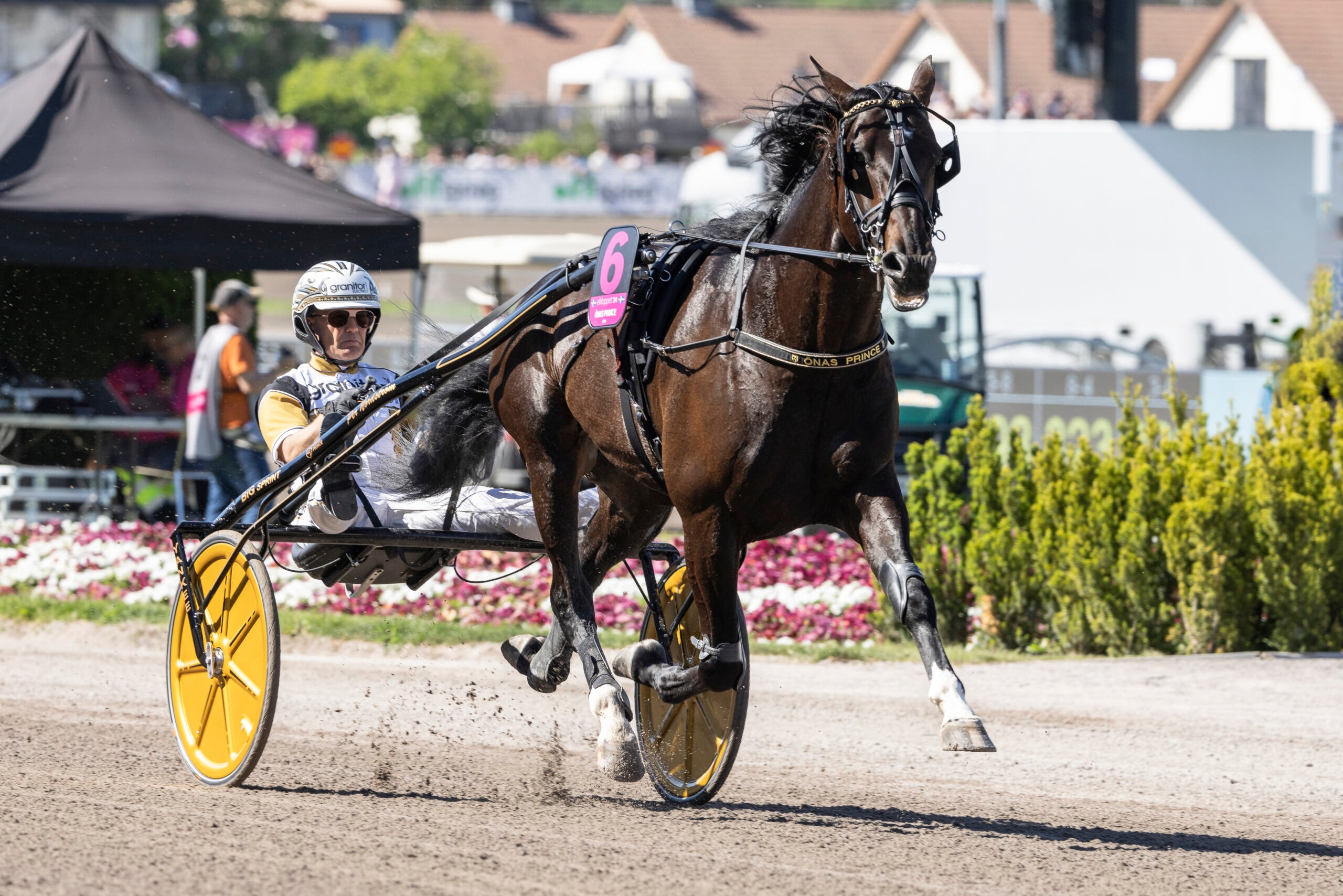Foto: Malin Albinsson / TR Bild.