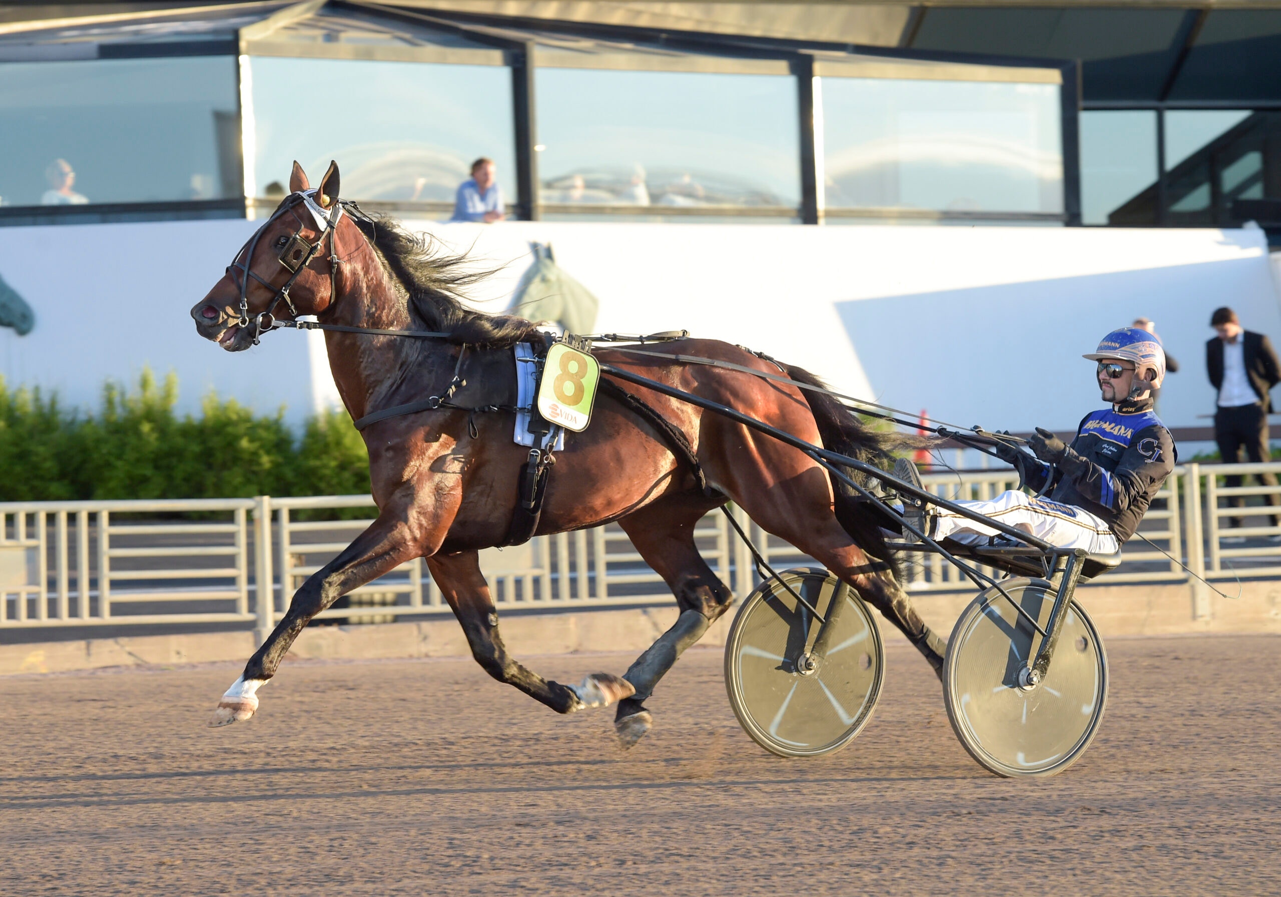 Foto: Lars Jakobsson, TR Bild