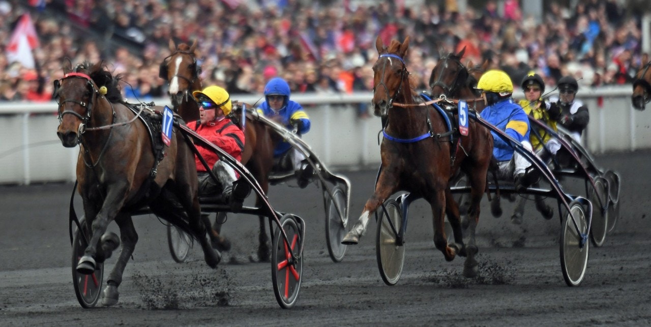 Bold Eagles väg mot PdA