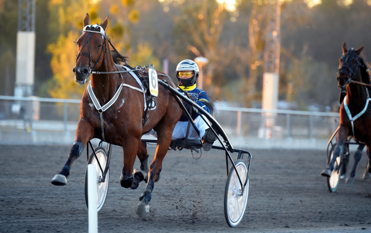 Örebro 2 maj: Bästa vinnaren hugger till direkt!