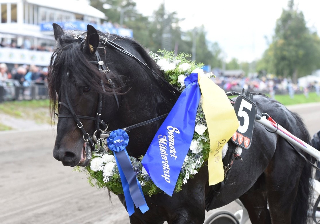 Bollnäs 15 maj: Lyckosamma spel i går - Nya lopp och nytt hopp ikväll