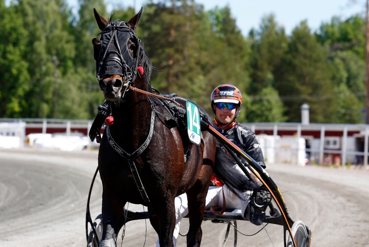 Havbergs Knight segrade i Cagnes-sur-Mer. Foto: Hanold, ALN