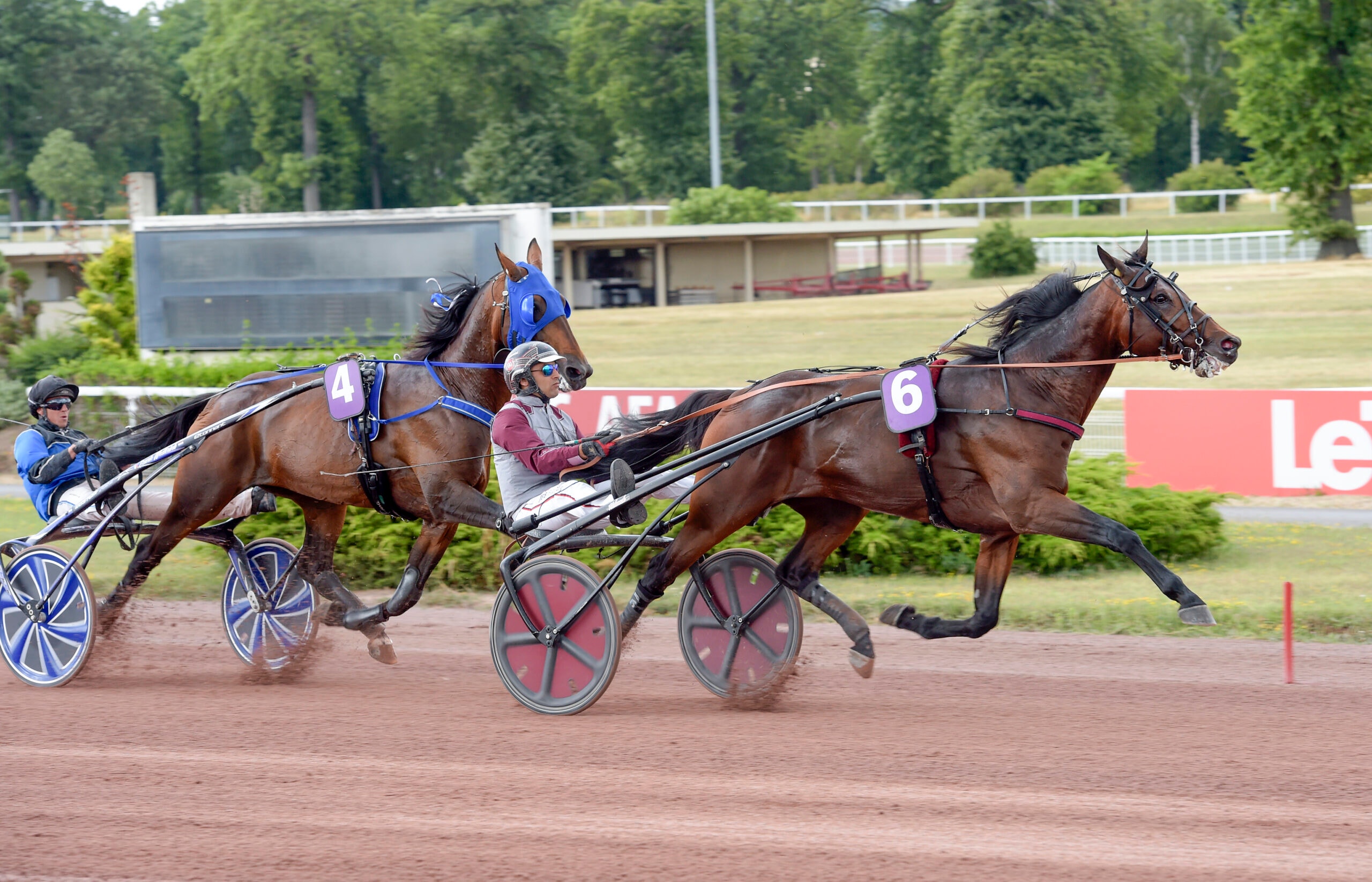 Foto: Lars Jakobsson, TR Bild
