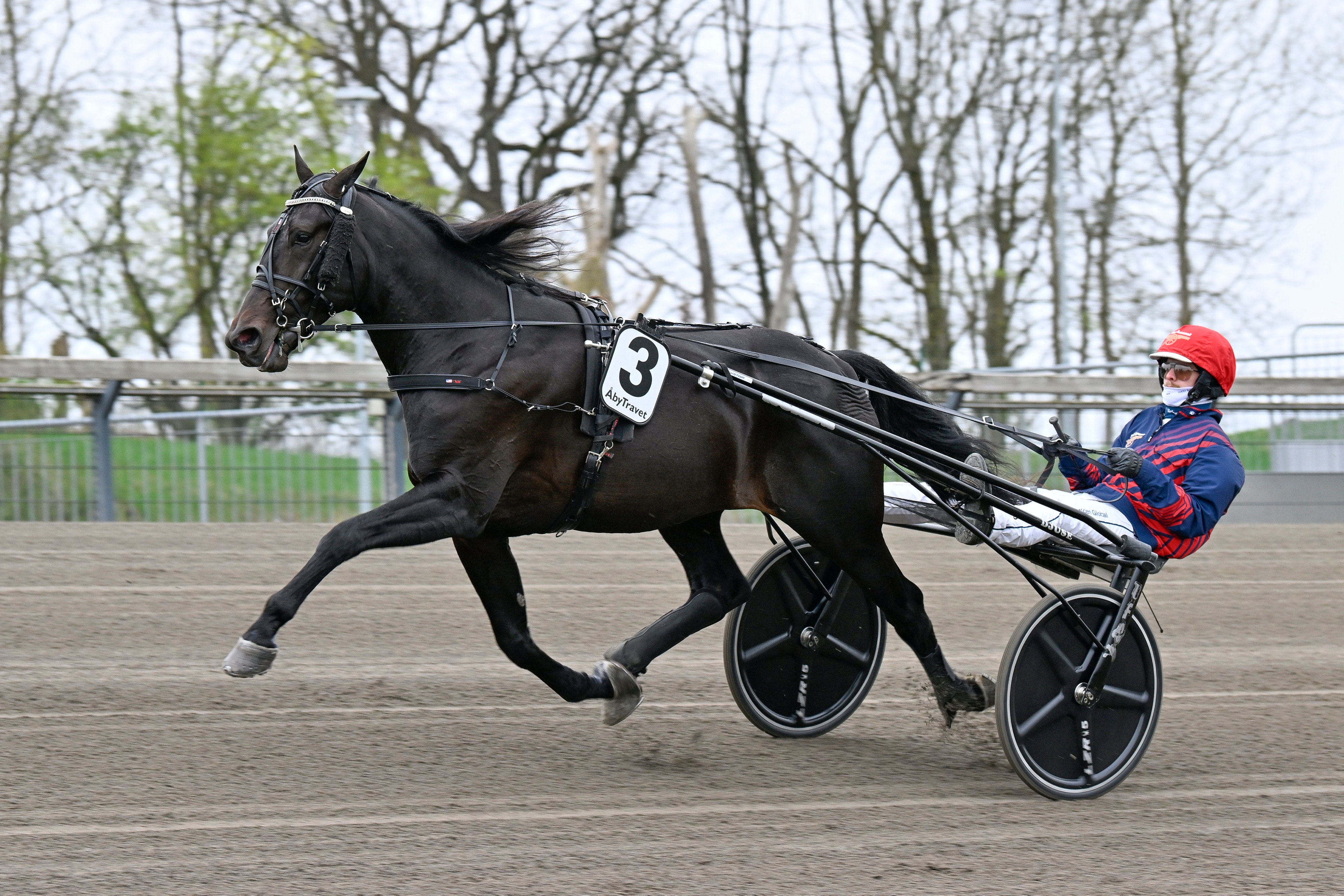 Bekräftat: "Har tackat ja till att träna Tony Adams"