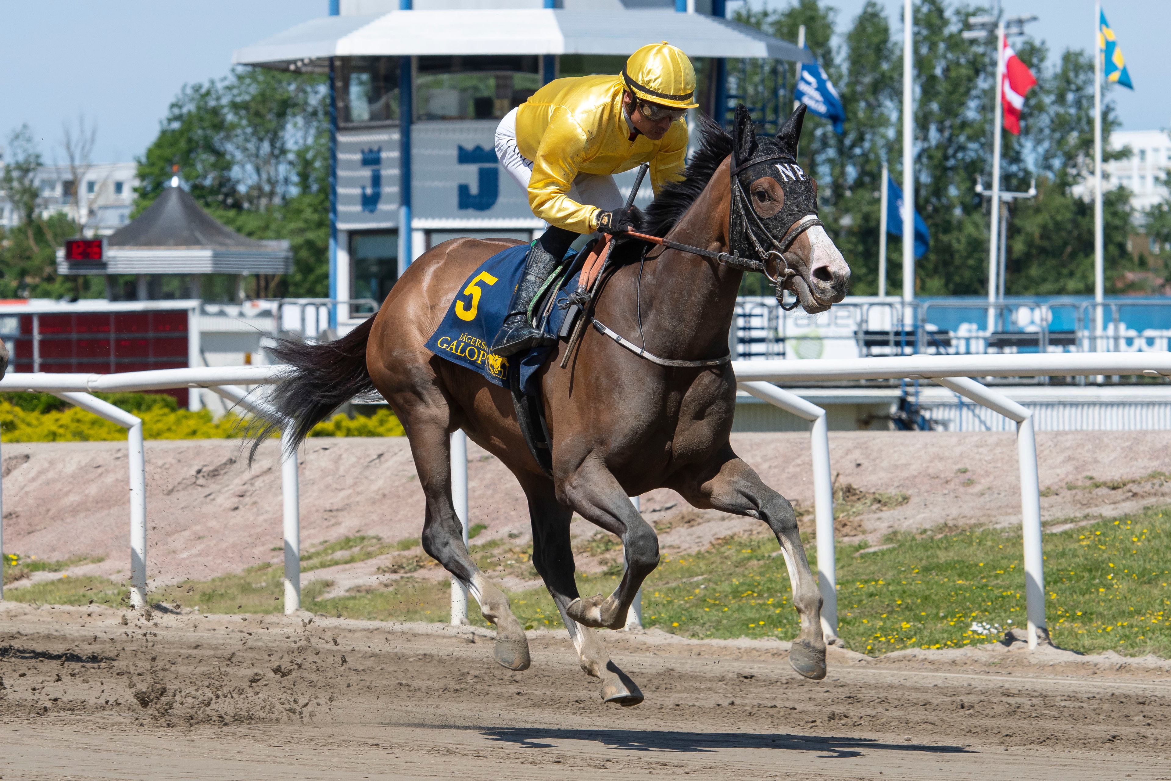 GS75-tips: Queen Azteca med toppchans