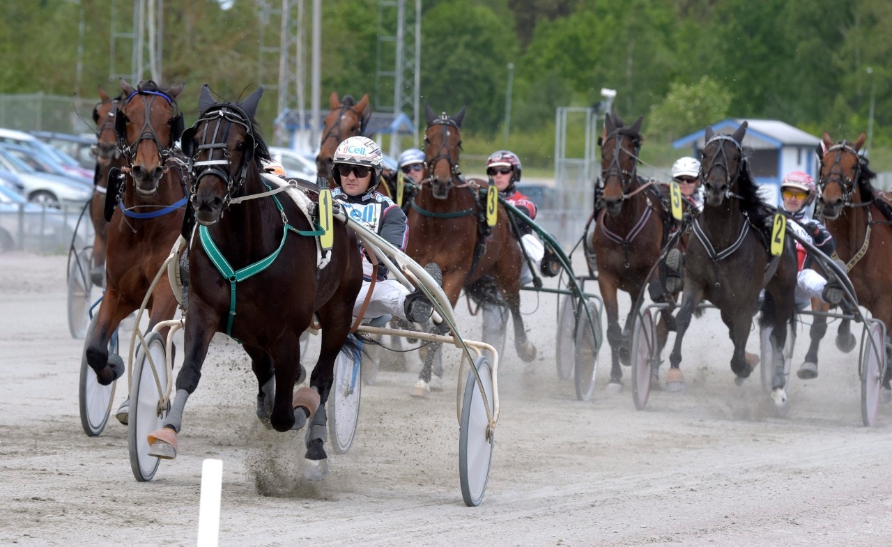 Tips Örebro 16 augusti: Smokey Herman spetsvinnare