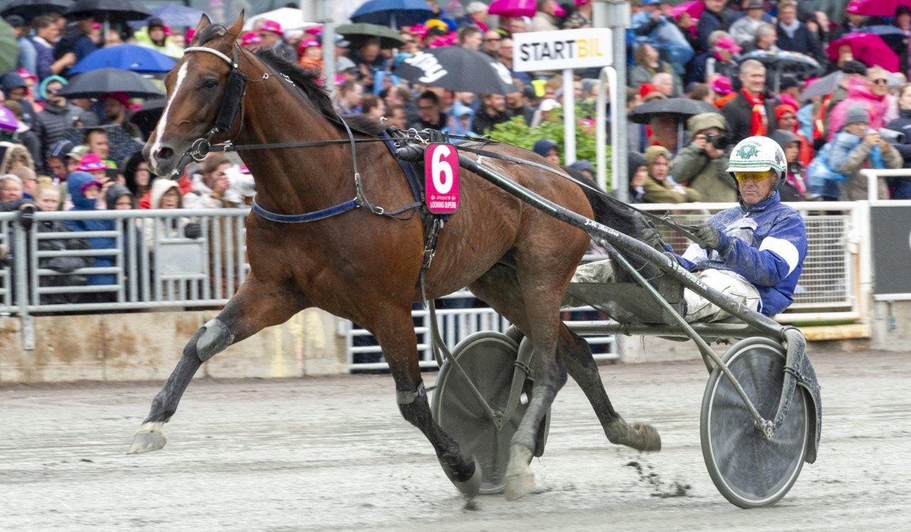 PdA-tvåan Looking Superb i superstayer