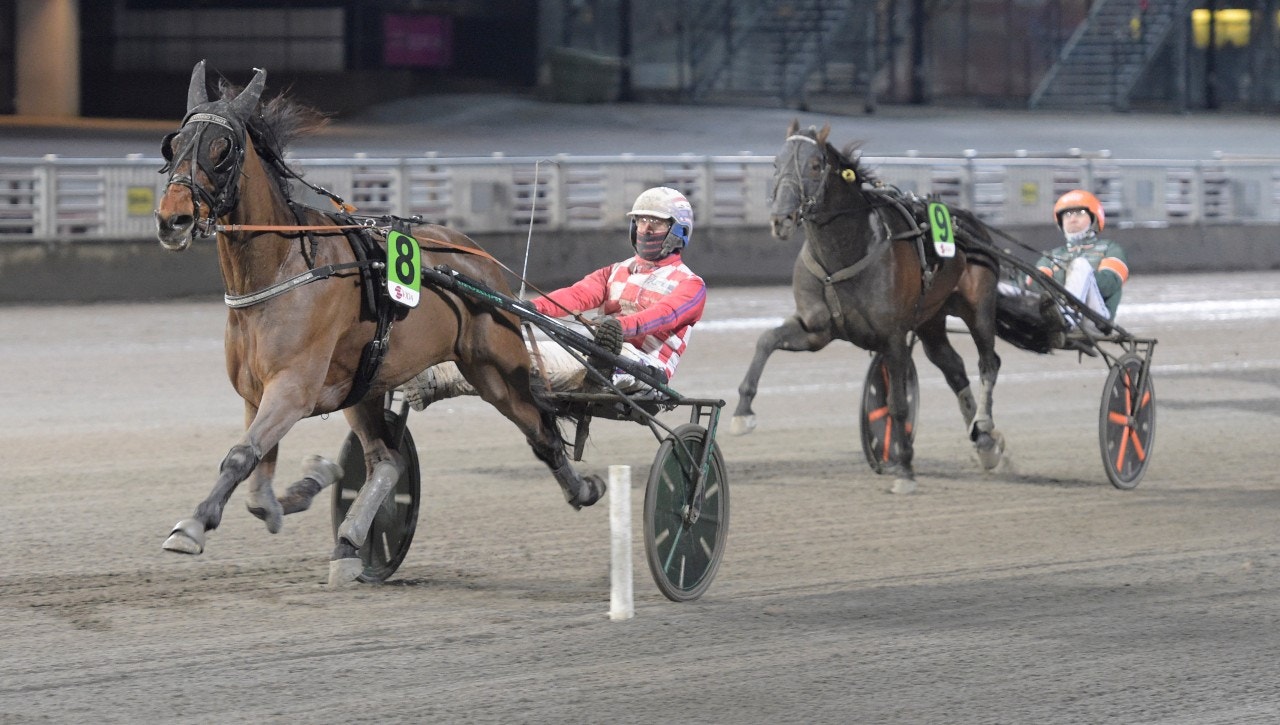 Det har lossnat för Antonio Trot - imponerade på Solvalla